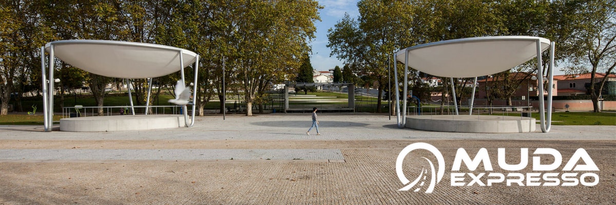 transportes mudanças trofa